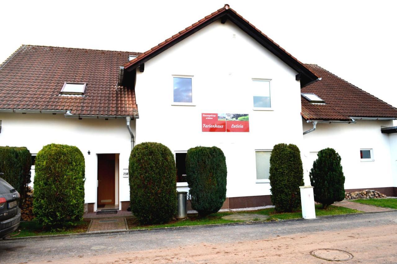 Unsere Ferienwohnung Stefan Im Riesengebirge! Dolni Lanov エクステリア 写真